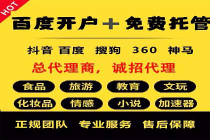 顶级SEM运营公司案例分析